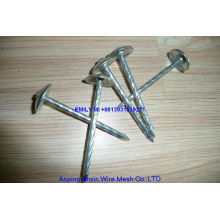 Umbrella Head Roofing Nail